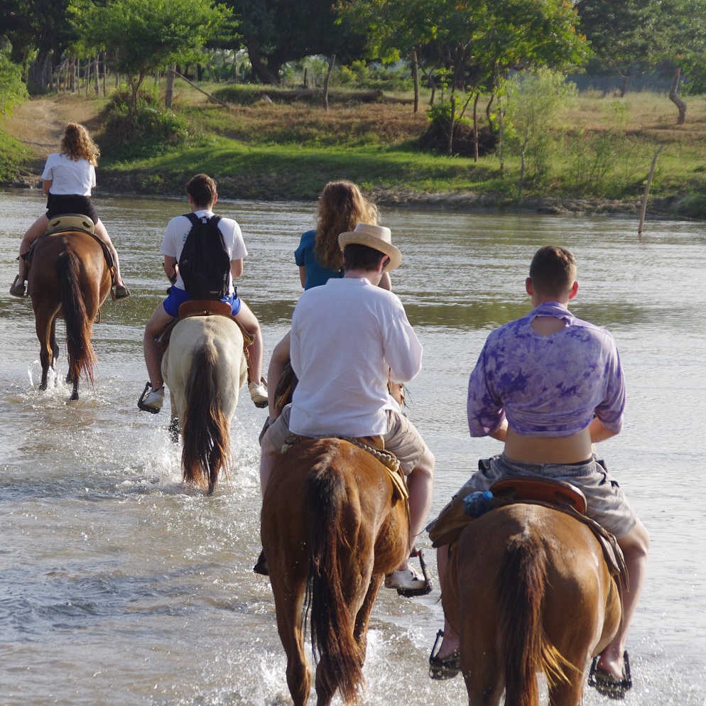 horses crossing river