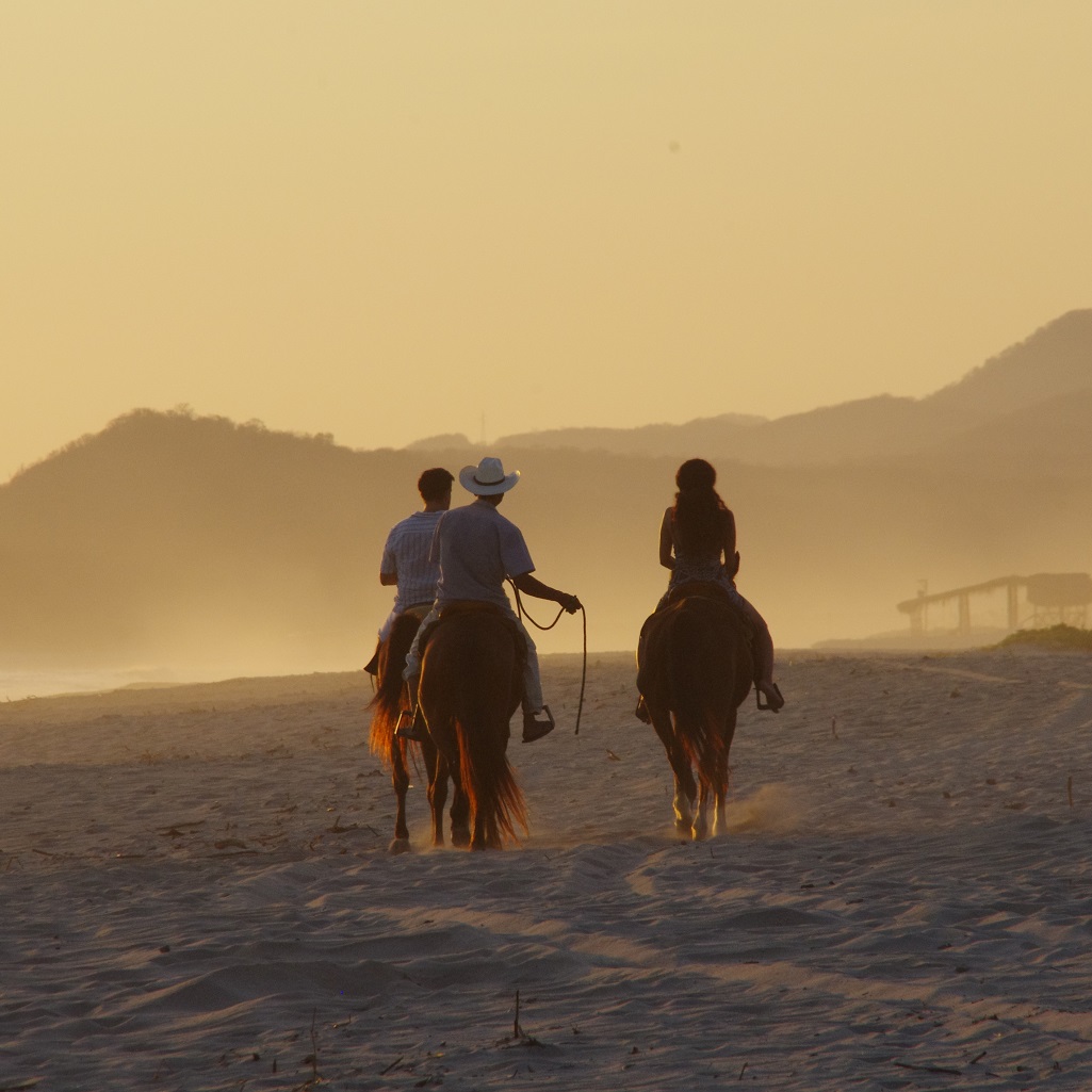 horse riding sunset